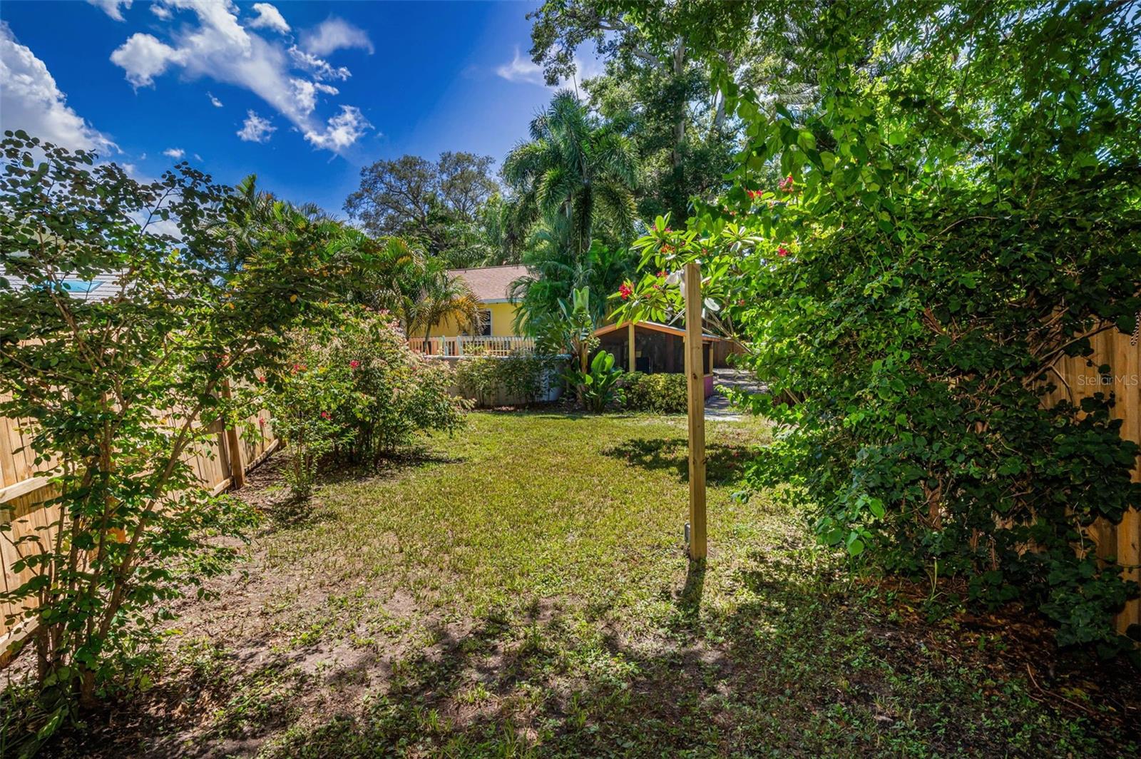 Backyard