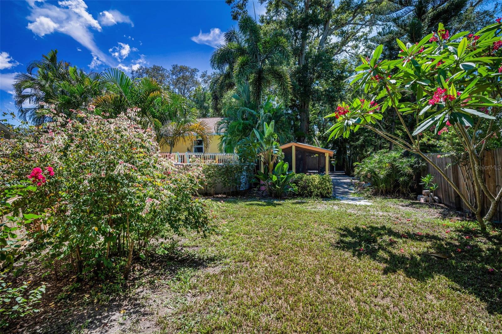 Backyard