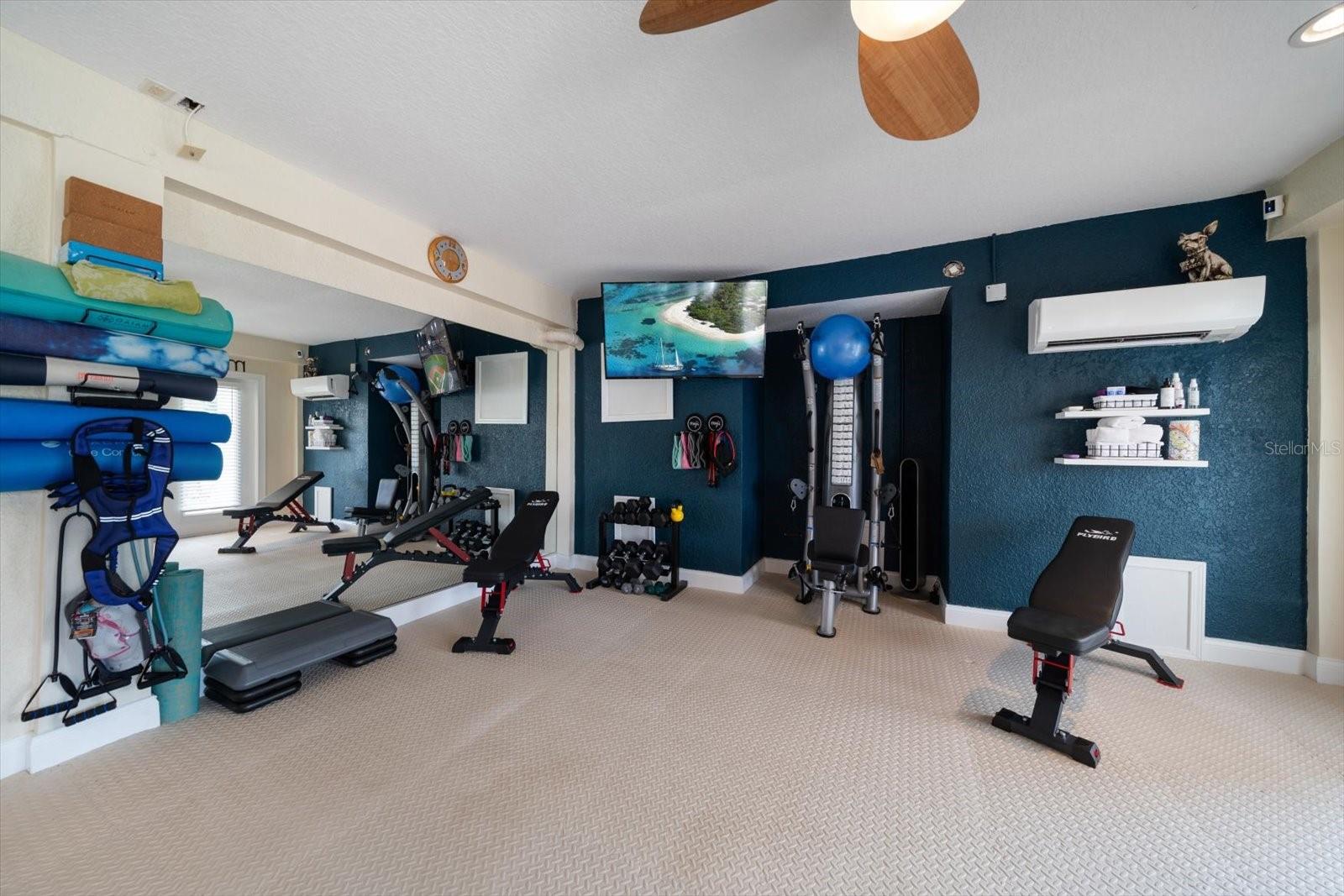 Ground Level Bonus Room/Gym