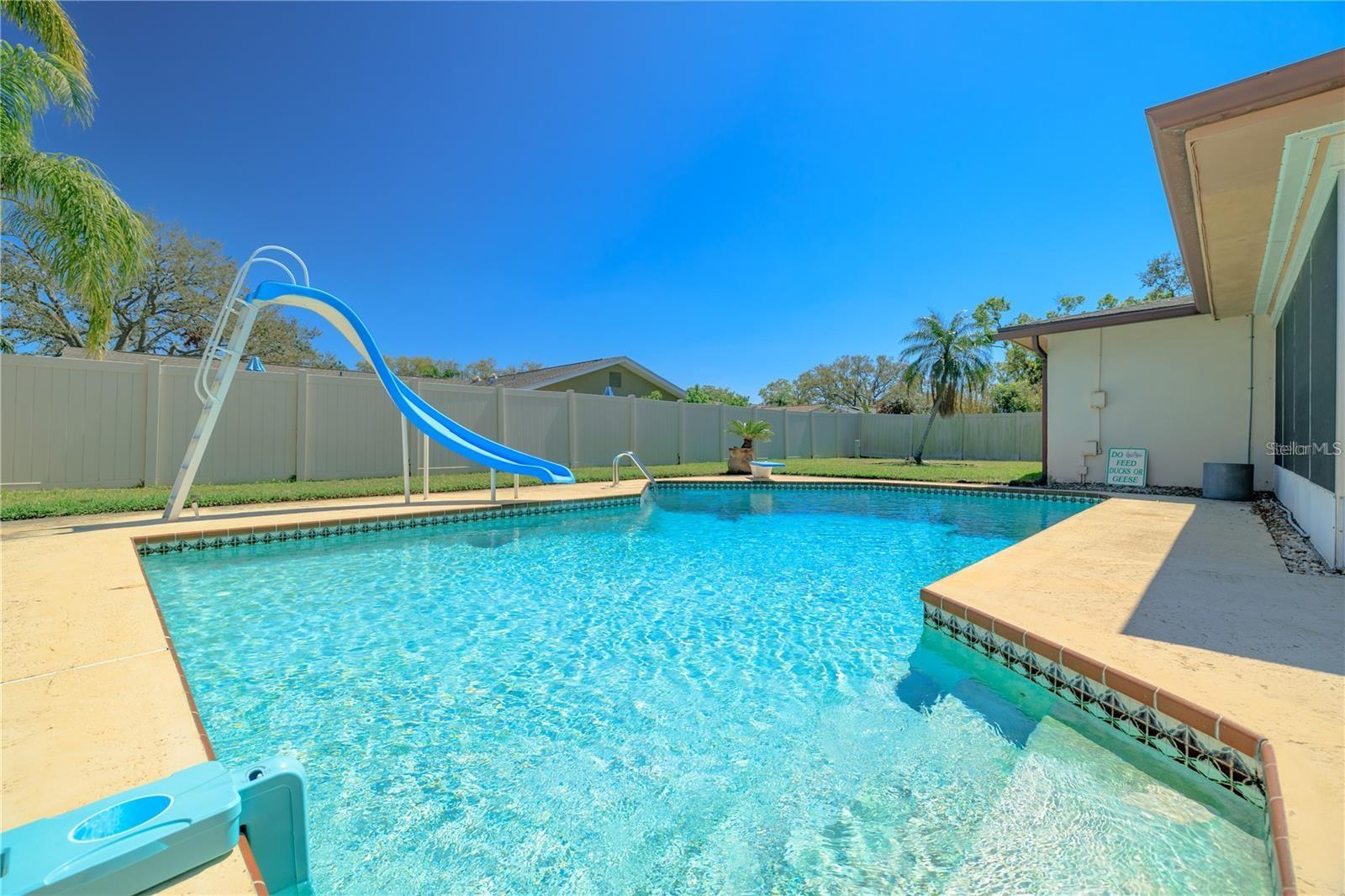 Backyard/ Pool!