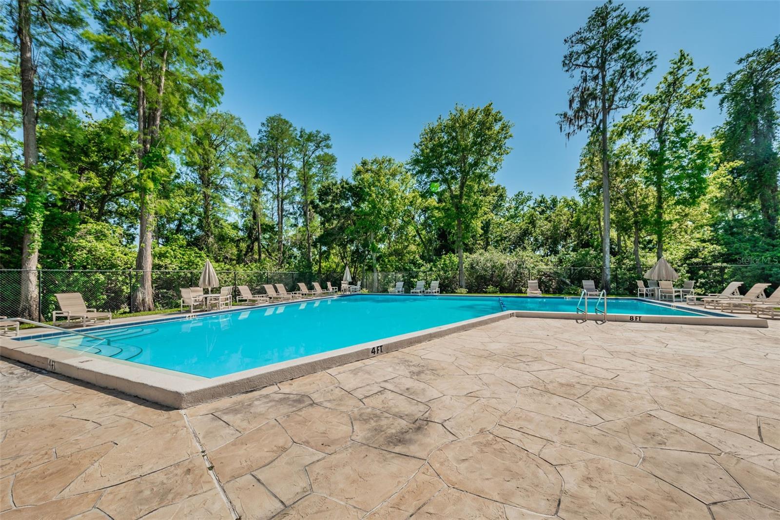 Community Pool Oasis