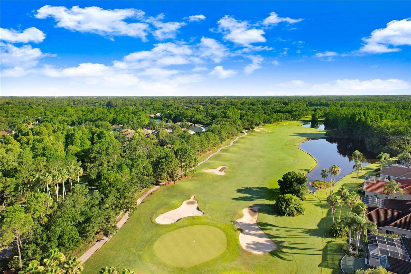 Golf Course Aerial