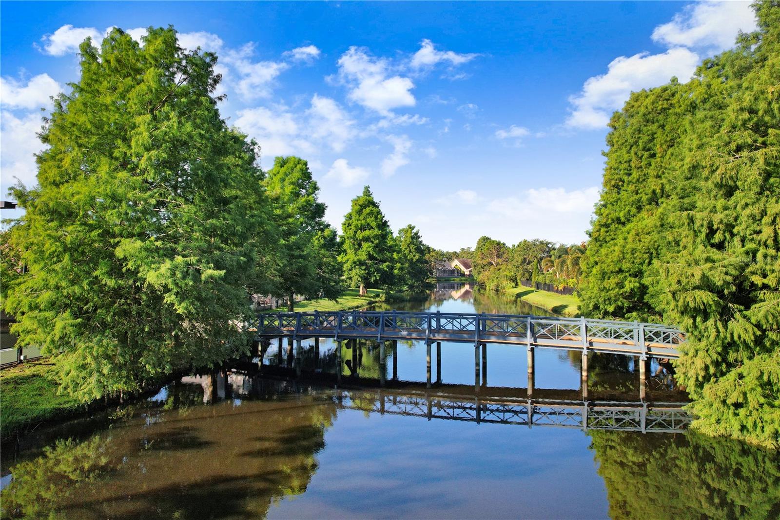 Westchase Bridge