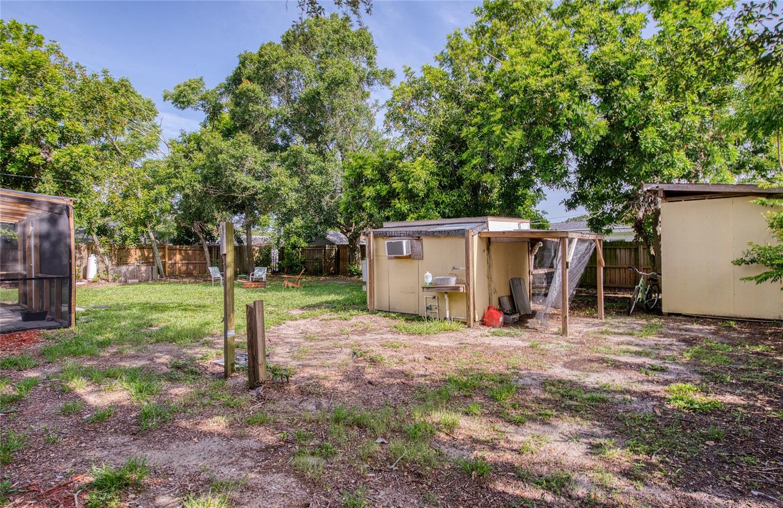 Backyard (3)