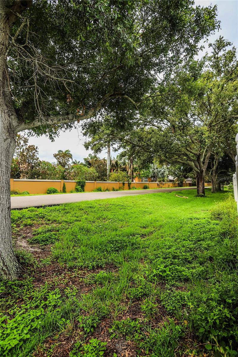 Pinellas Trail View from open gate