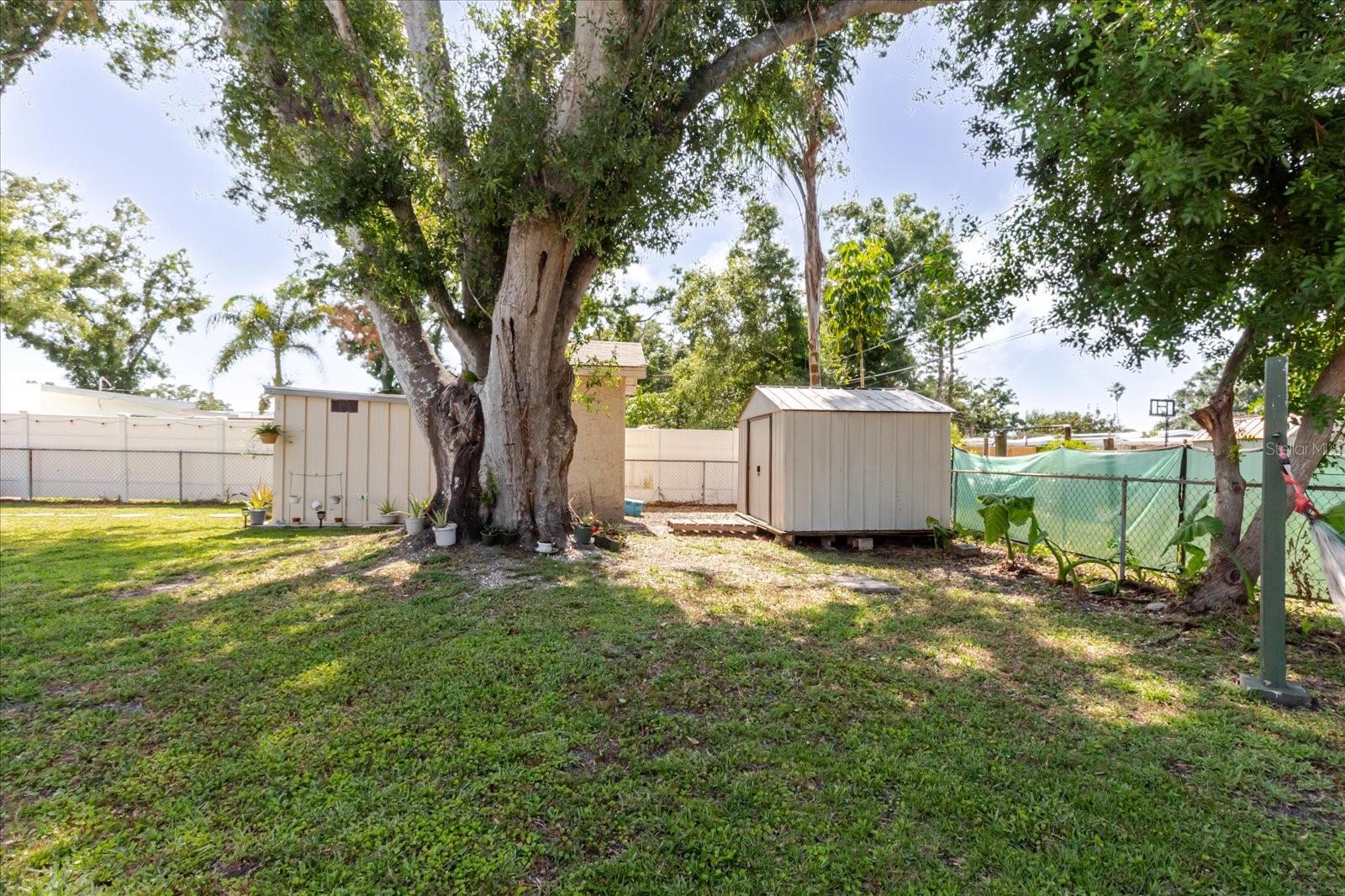 Three Sheds Provide Ample Storage. All Sheds Stay
