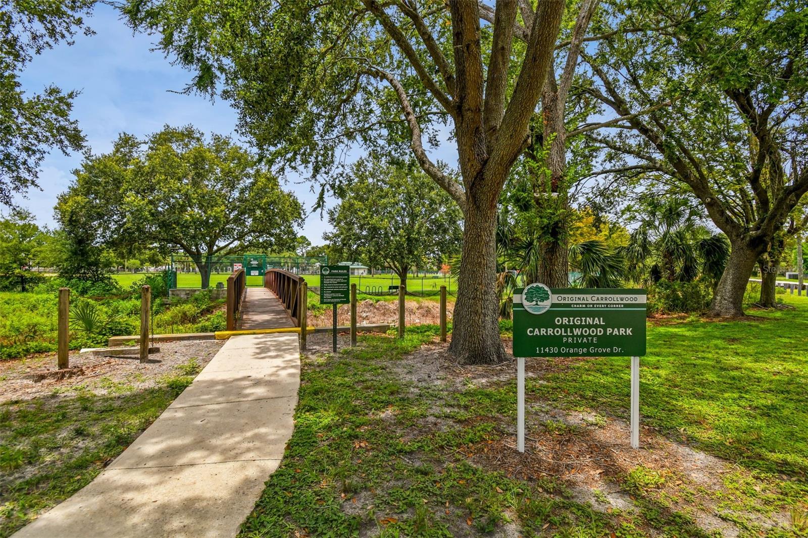 Original Carrollwood Park