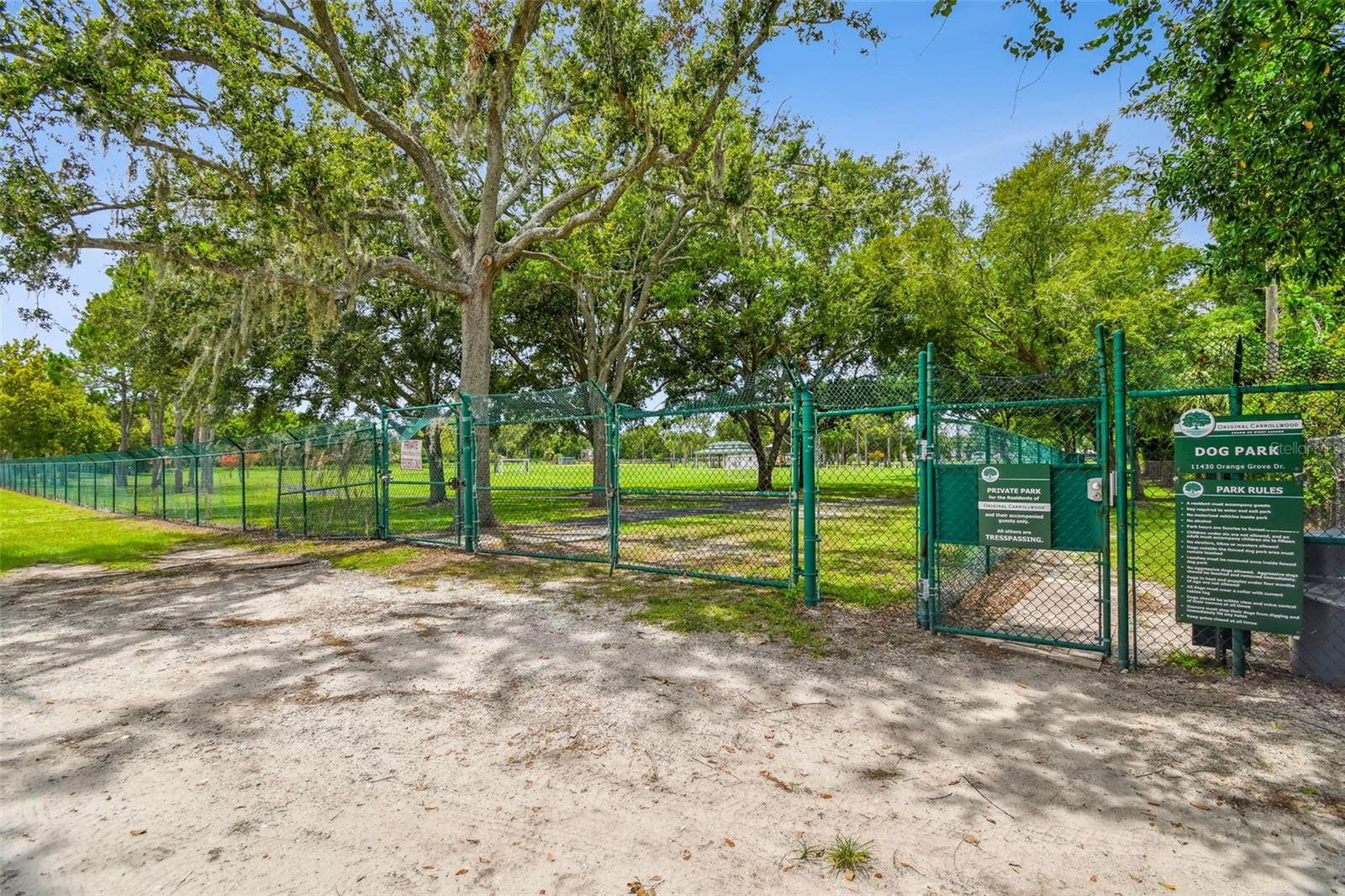 Dog Park