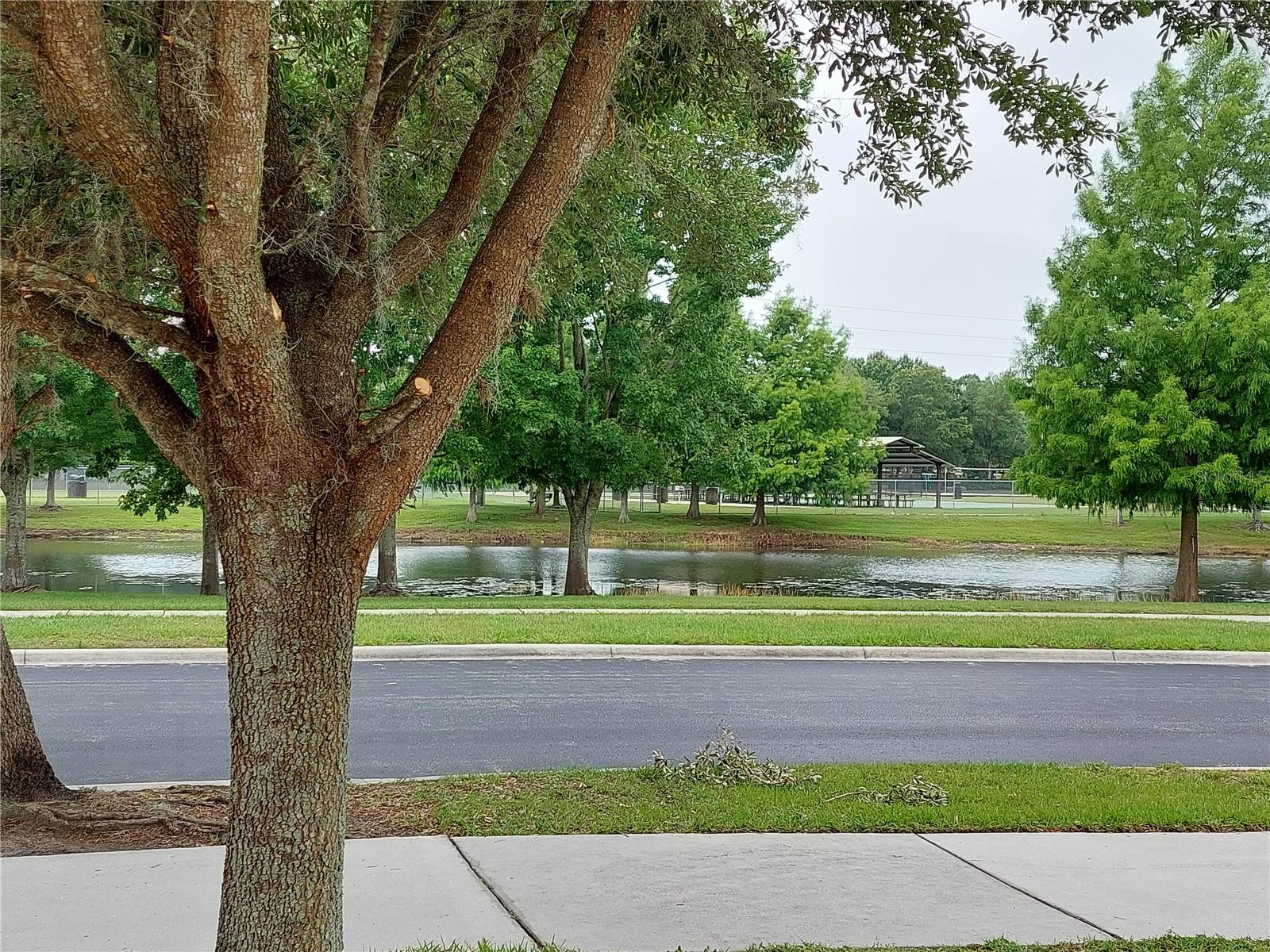 Across street park!