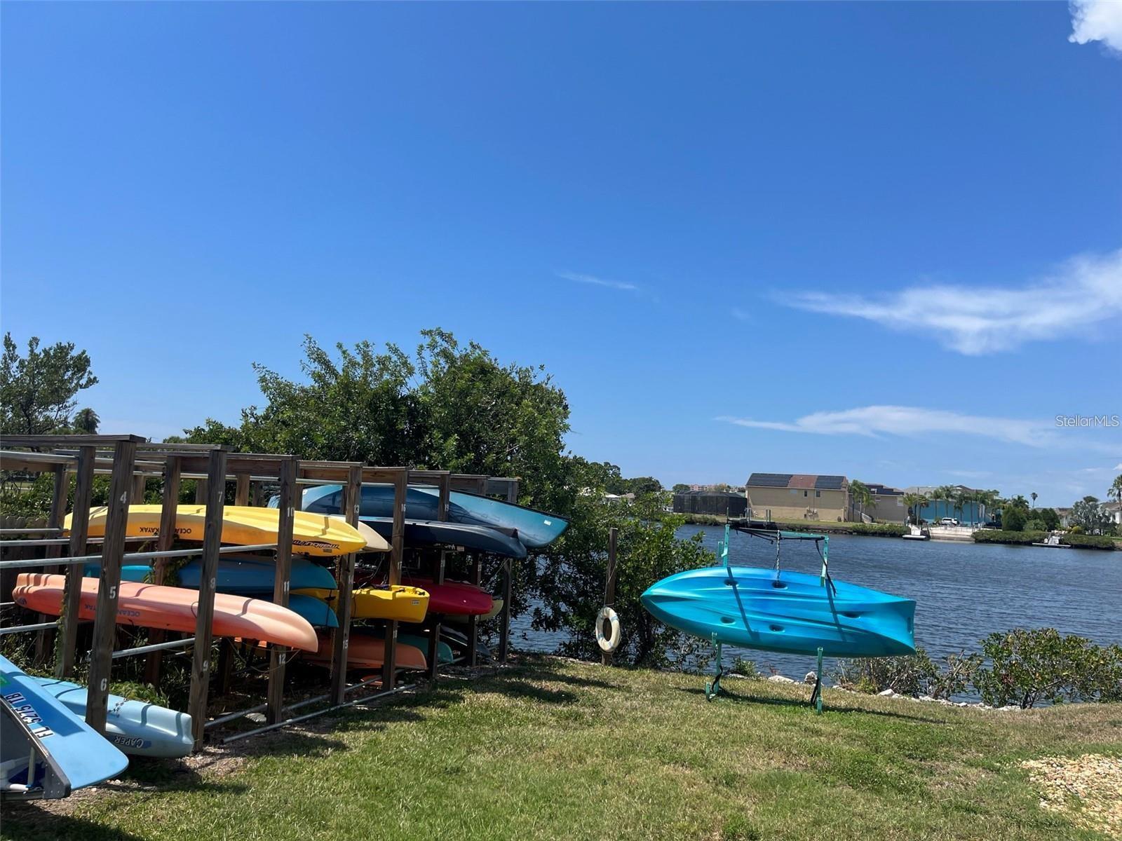 kayaks