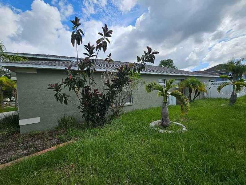 Side Yard