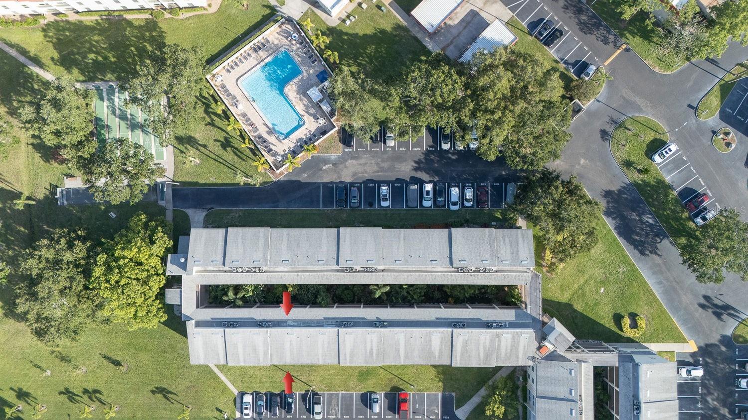 Building 5 & pool