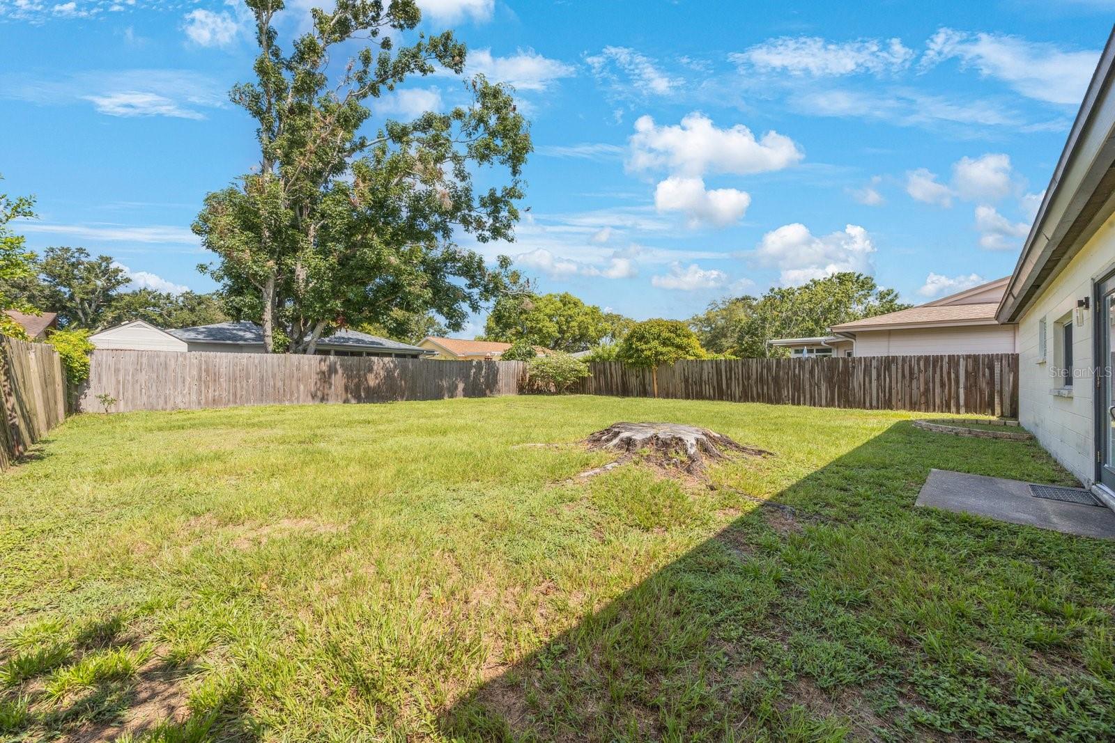 Expansive Backyard