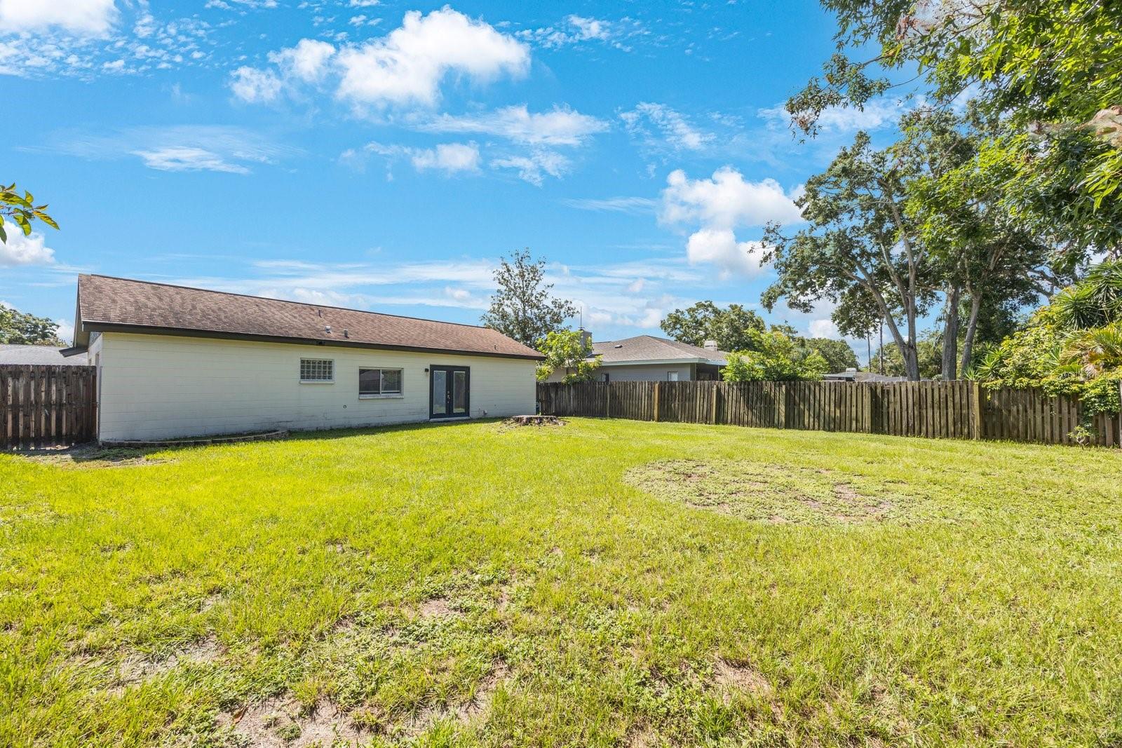 Expansive Backyard