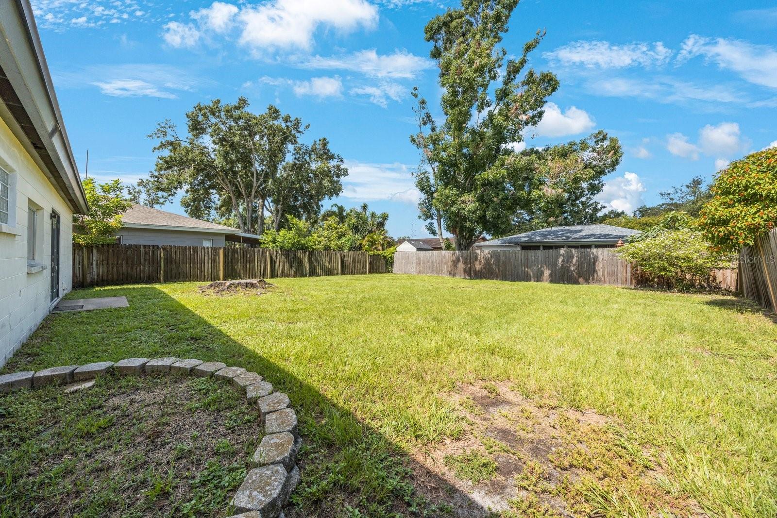 Expansive Backyard