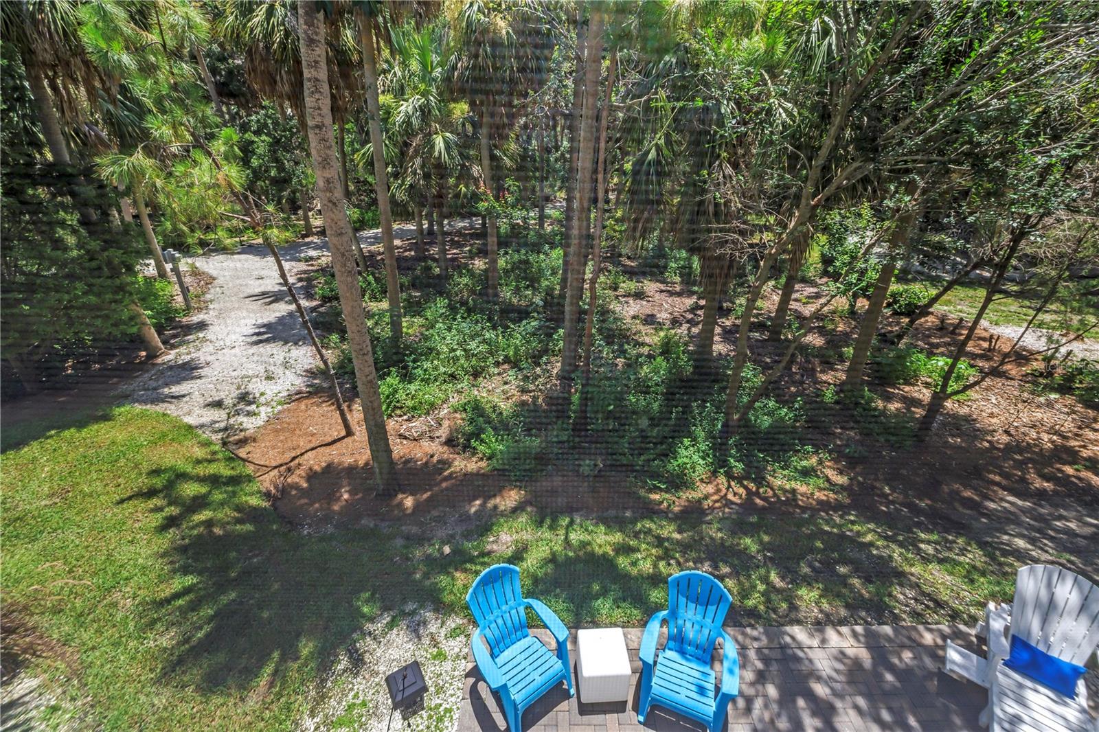View of Preserve from Porch