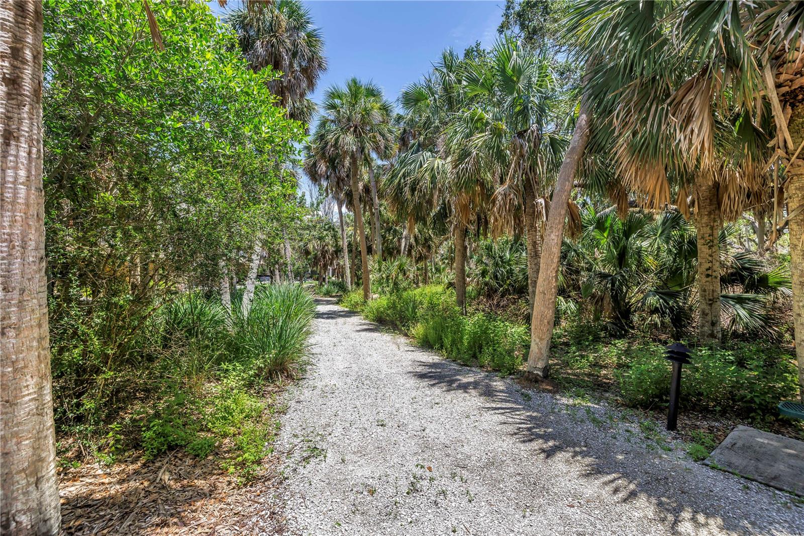 Preserve and Walking Trail in the Backyard!