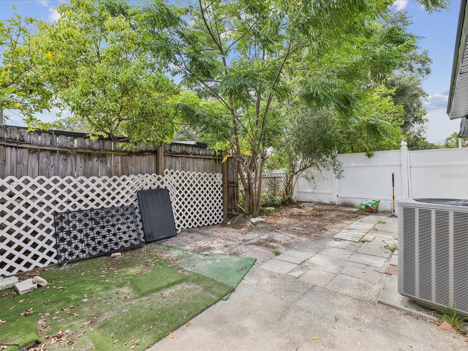 Backyard