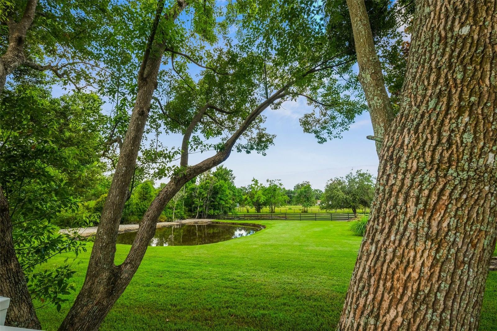 View over the back fence to the neighbor's pasture/pond.