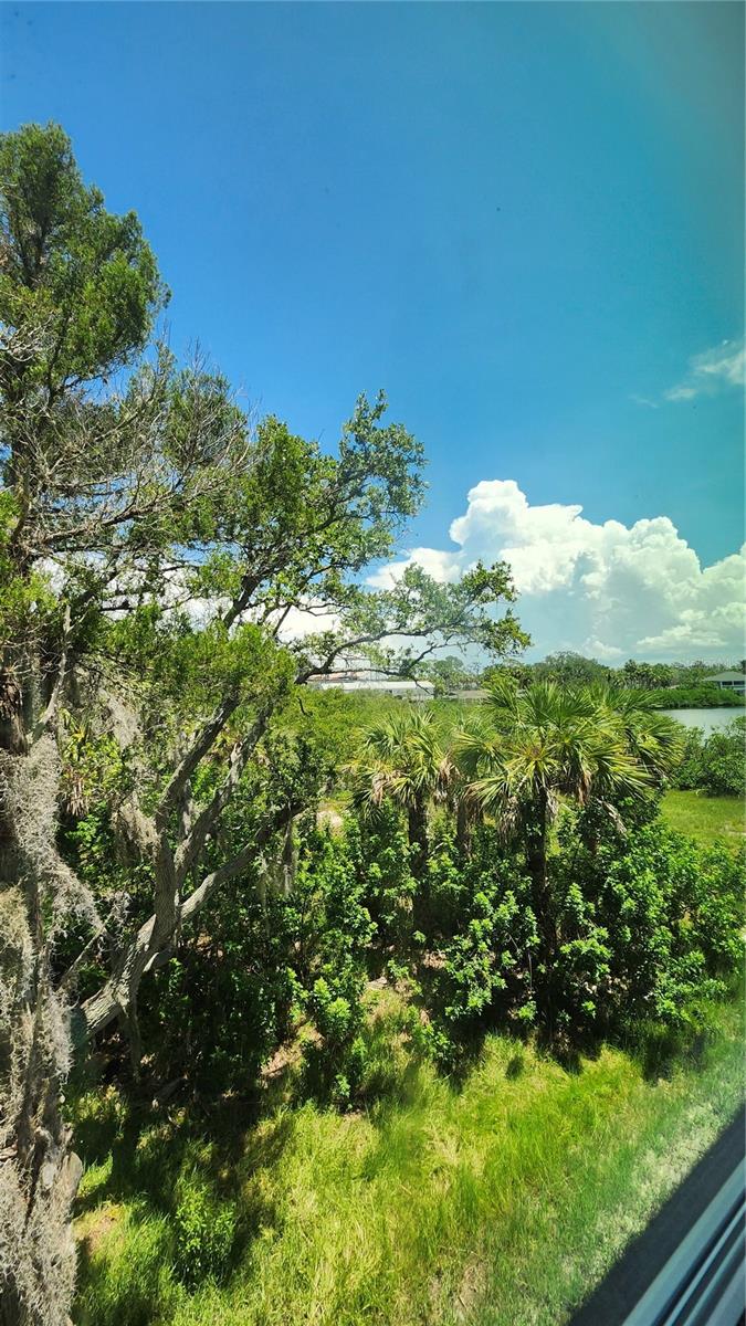 View from the stairs