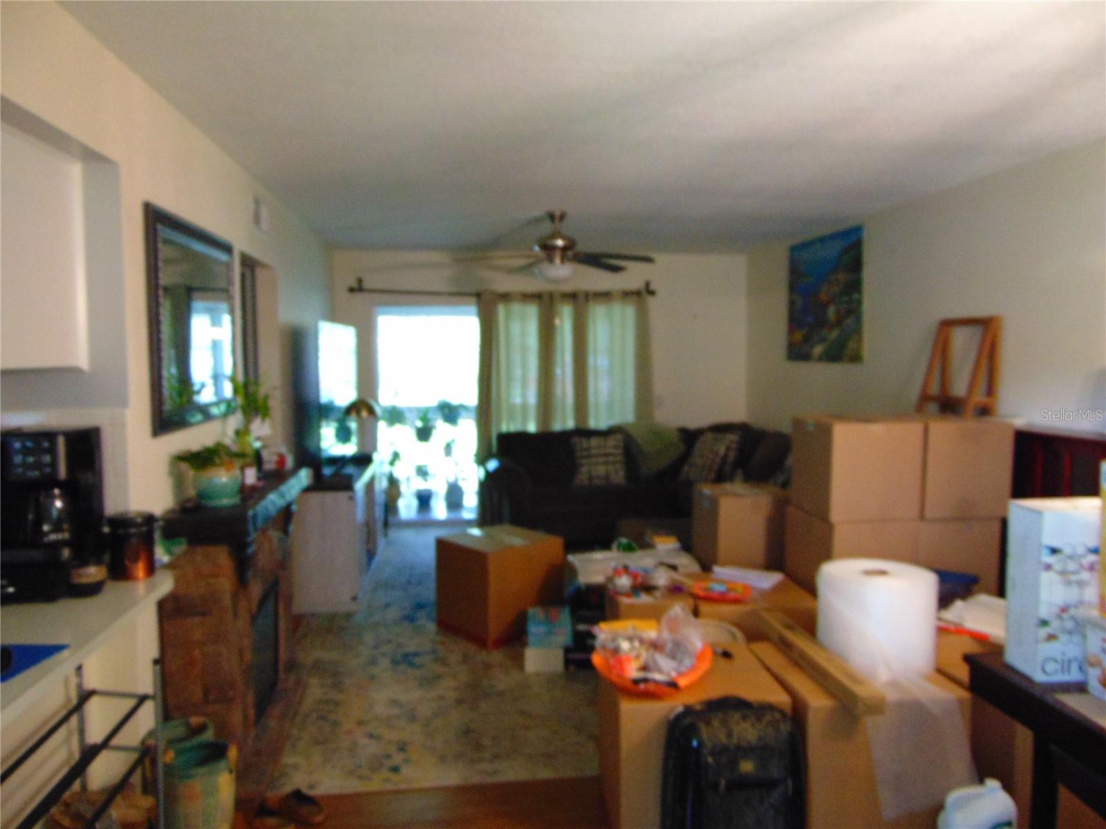 Living/Family Room