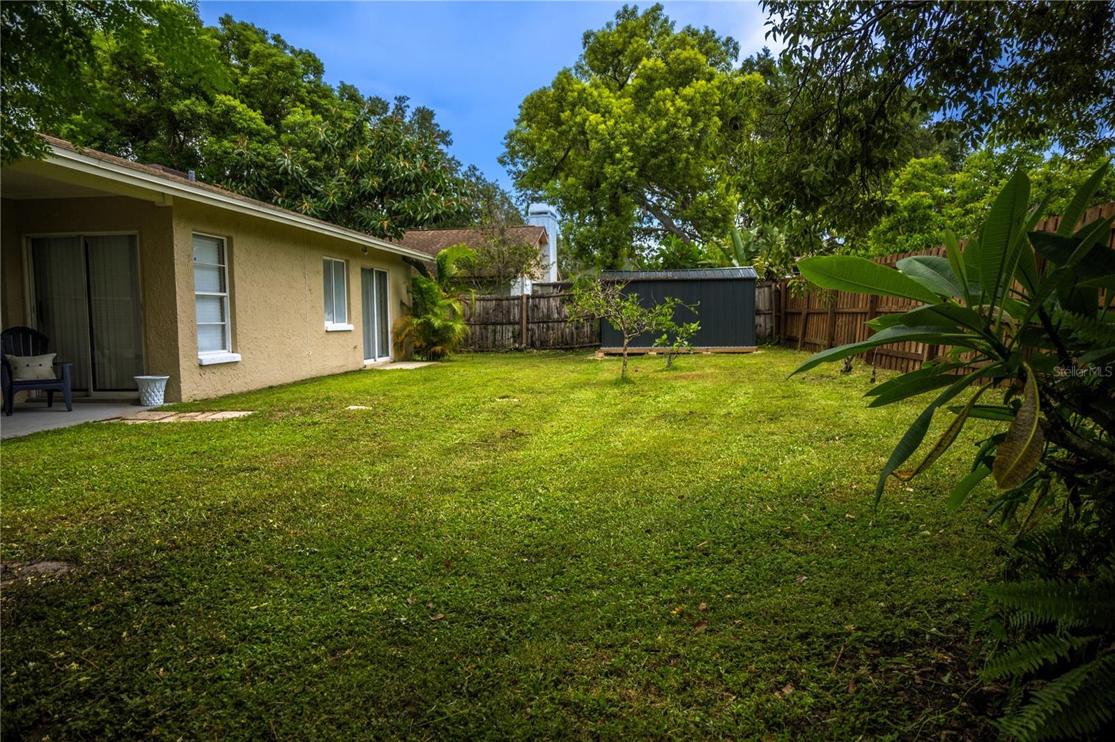 Backyard / Shed