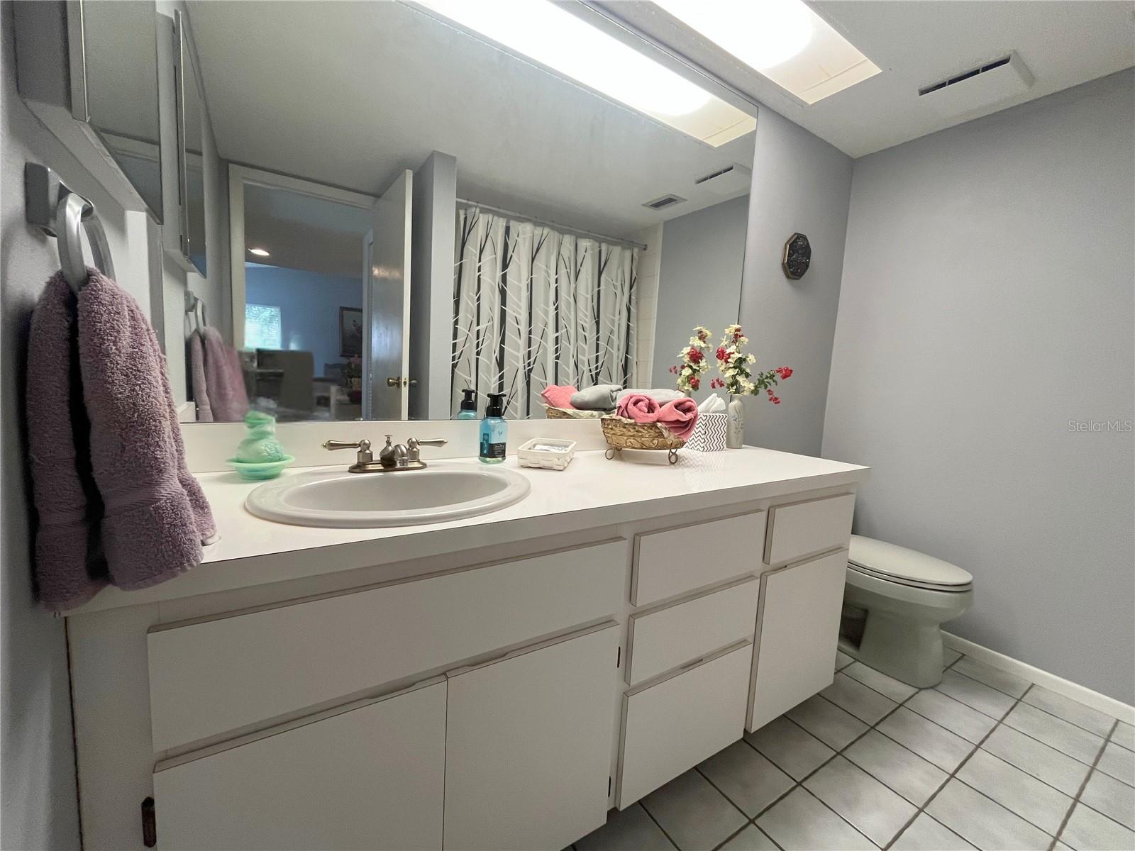 guest bath