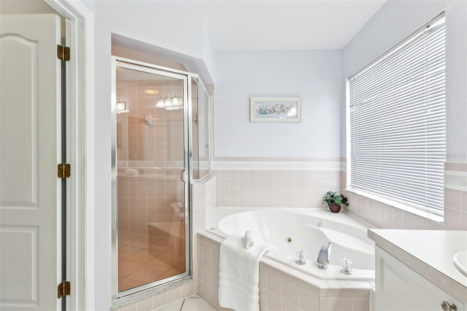 Primary bathroom