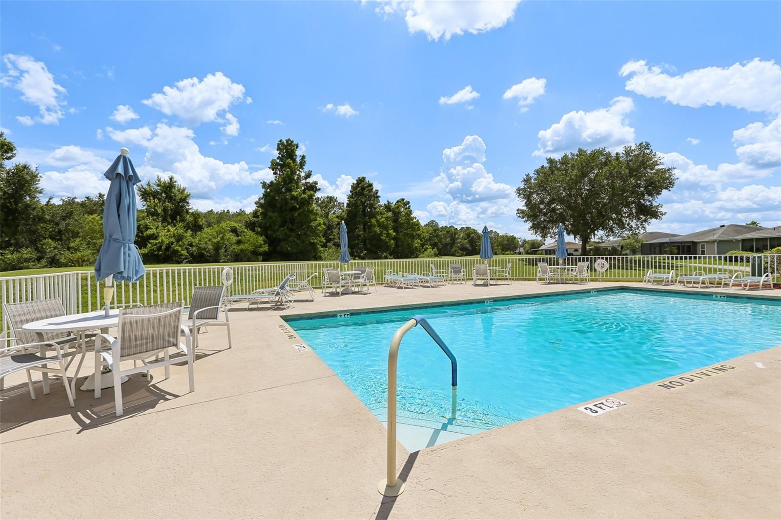 Amenity center: lap pool