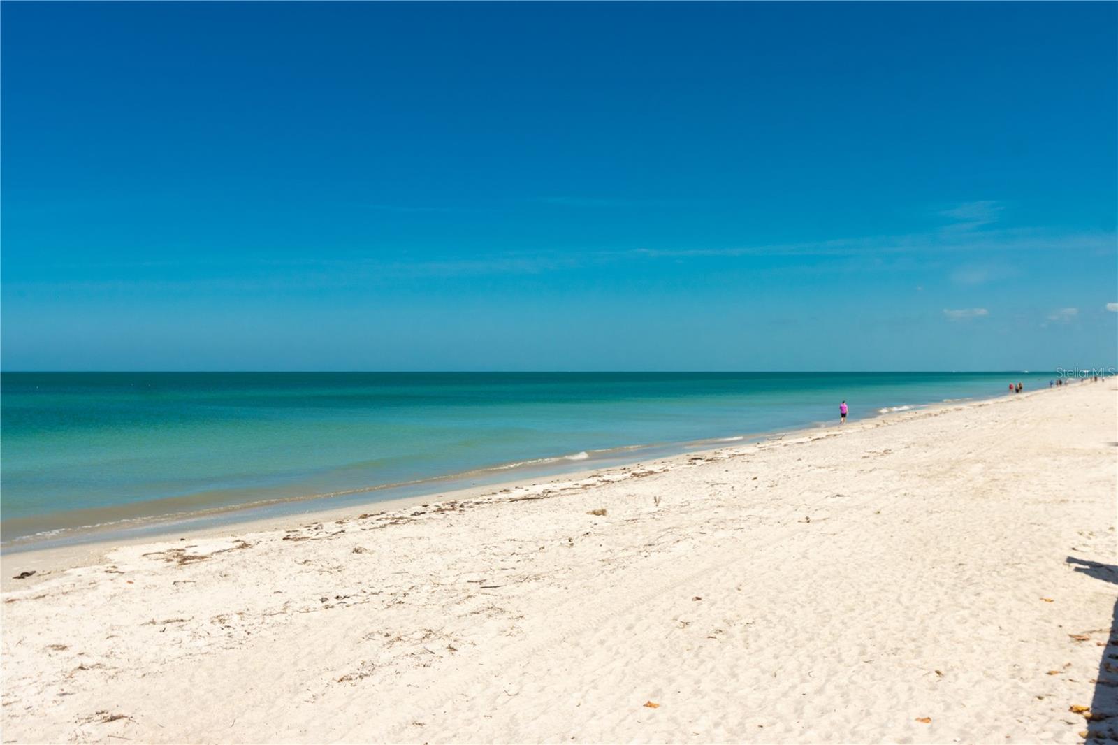 Florida Beach Day