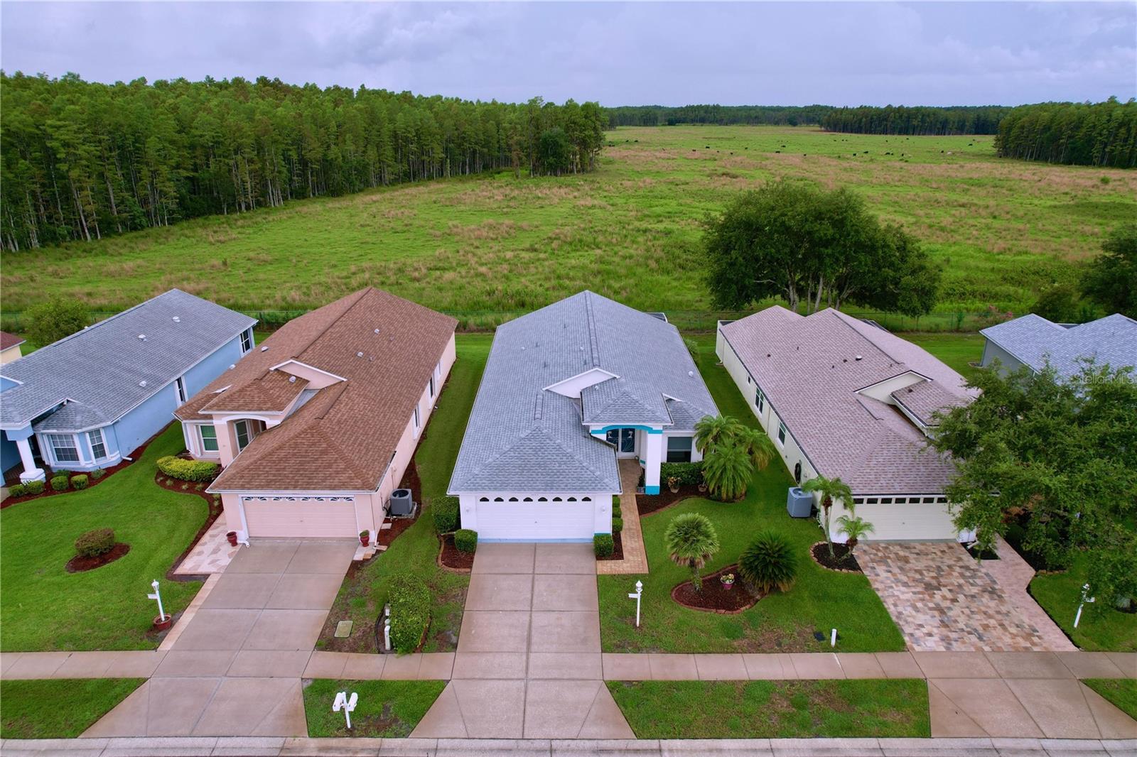 Hillsborough county pasture land