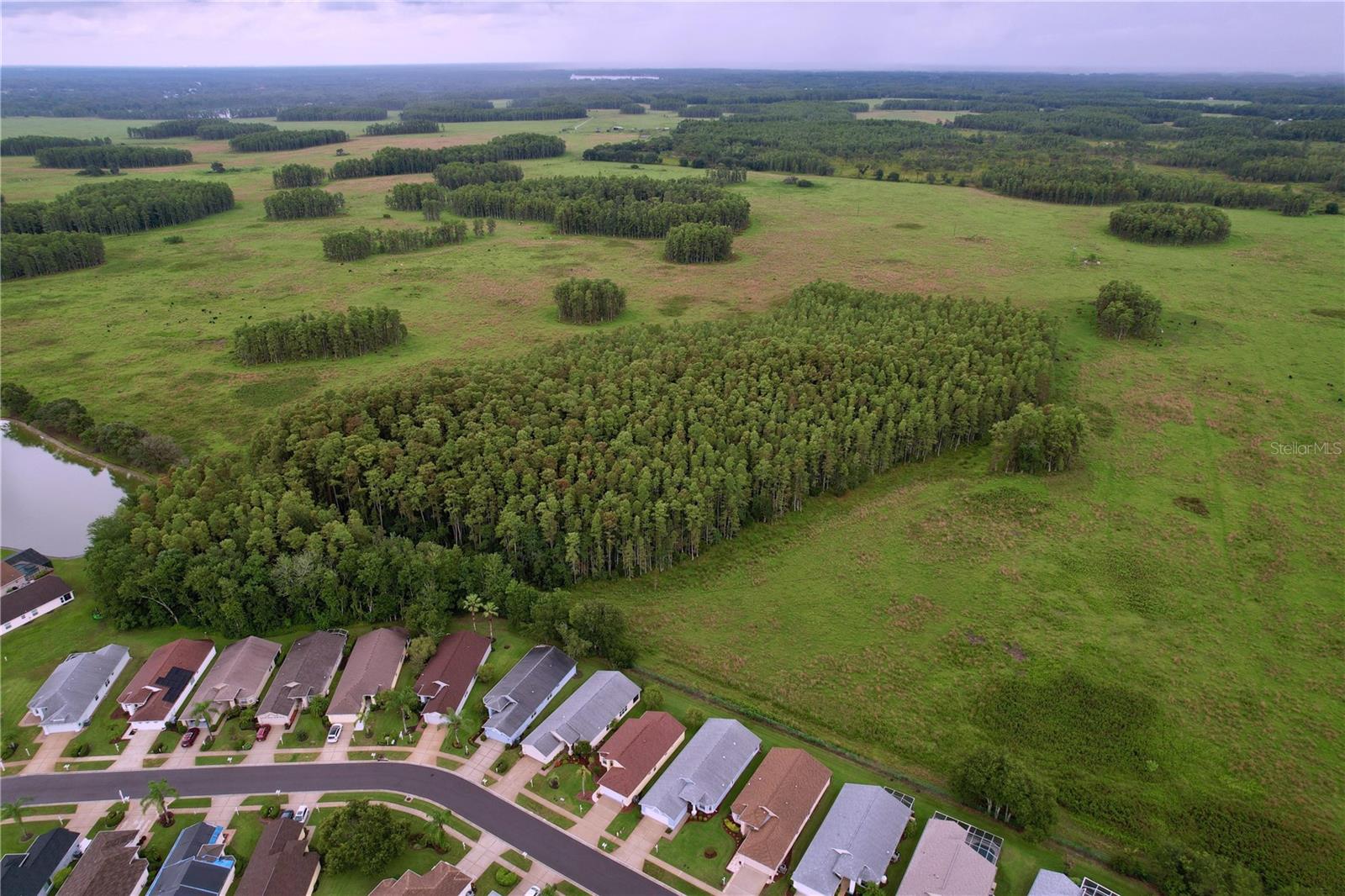 Conservation area also seen