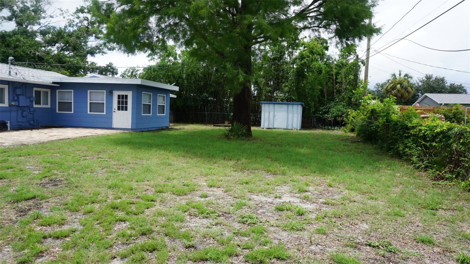 back Yard
