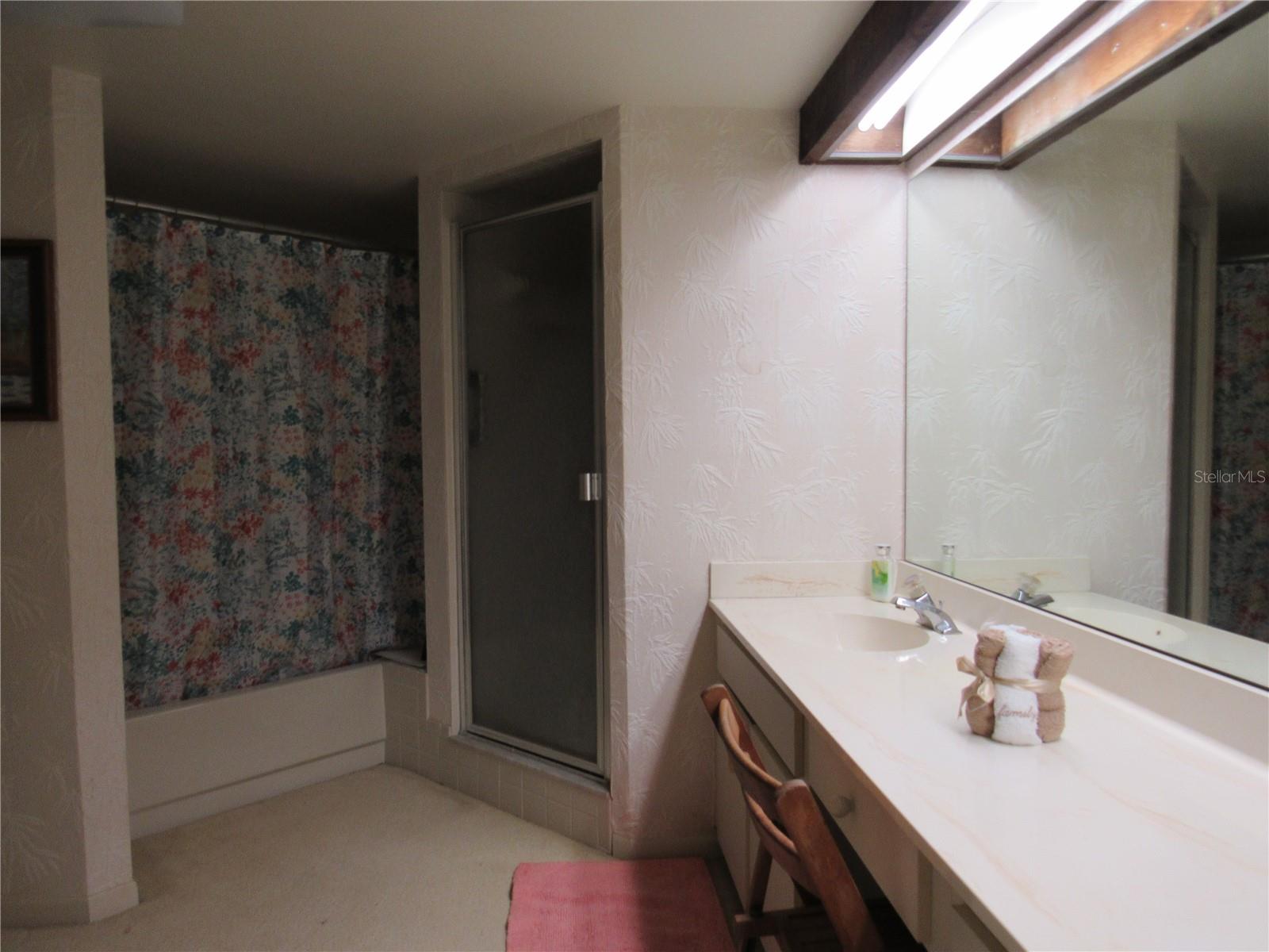 Primary bathroom with shower and a tub.
