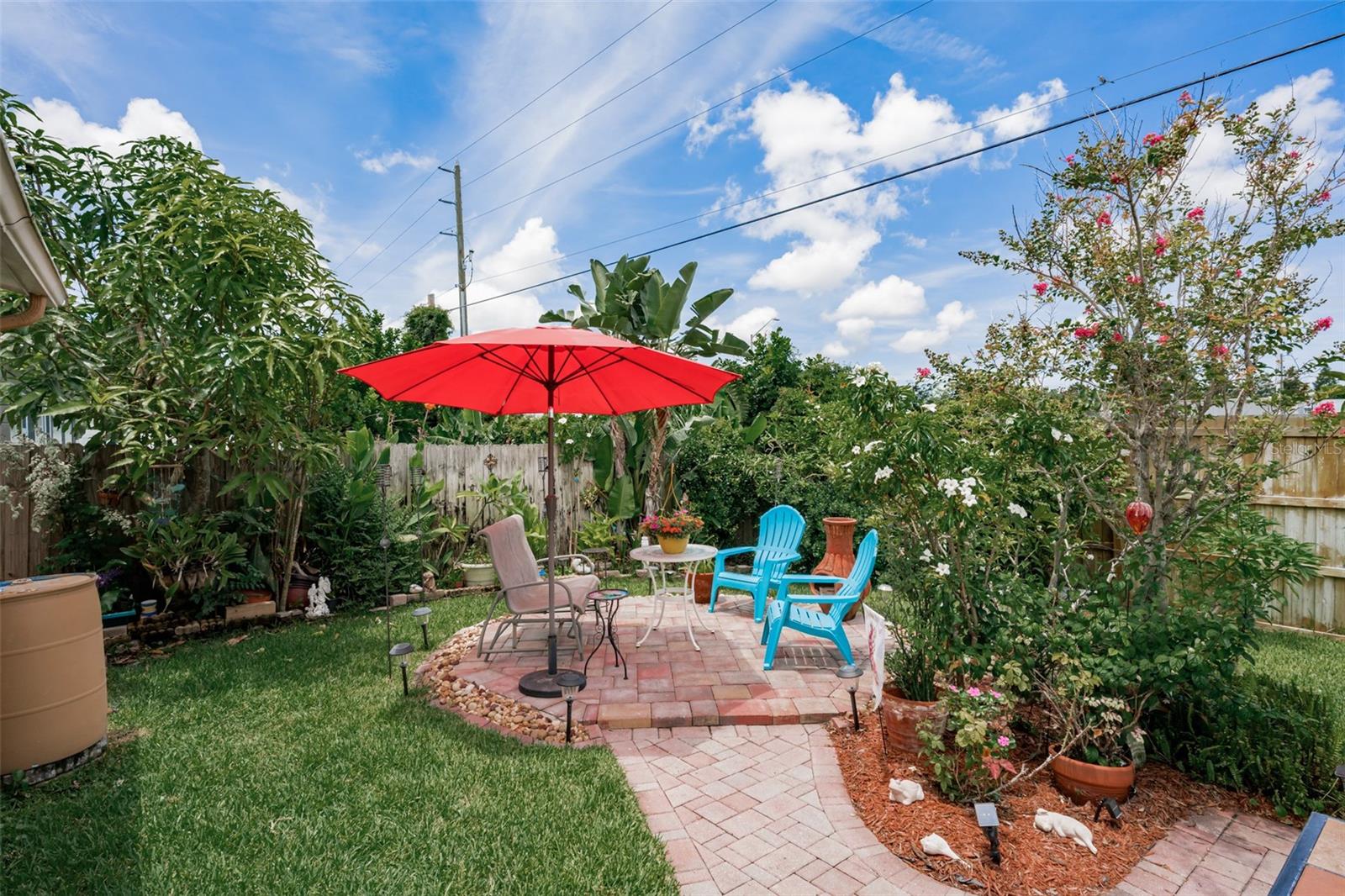 Back yard