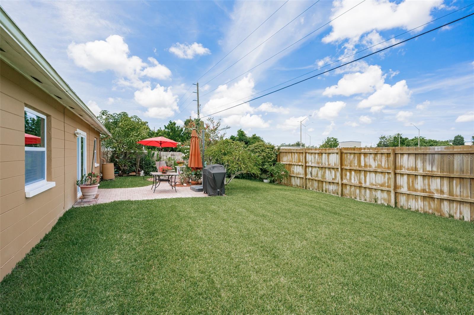 Back yard