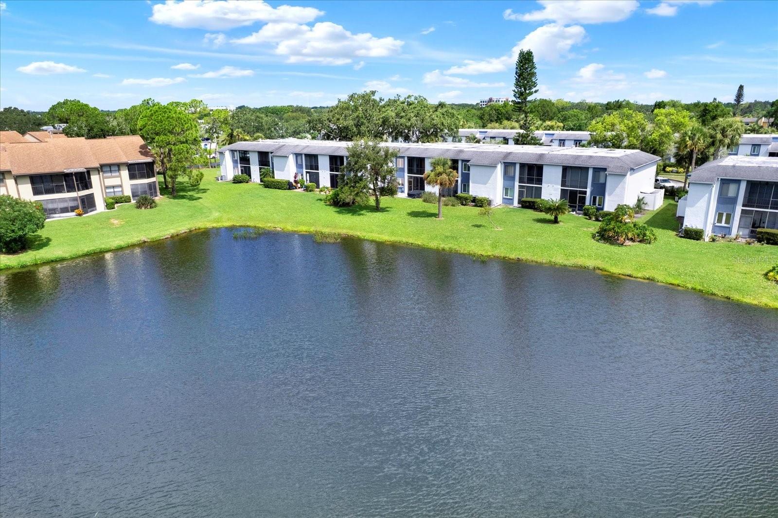 Building 8 view from pond