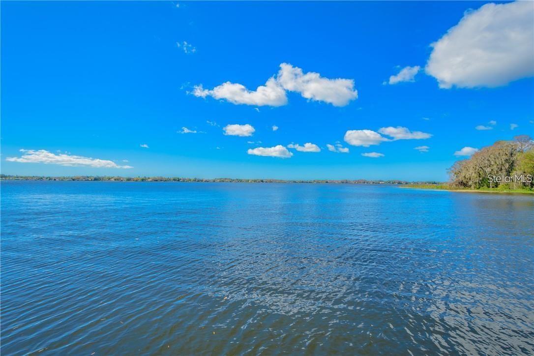 Lake Tarpon