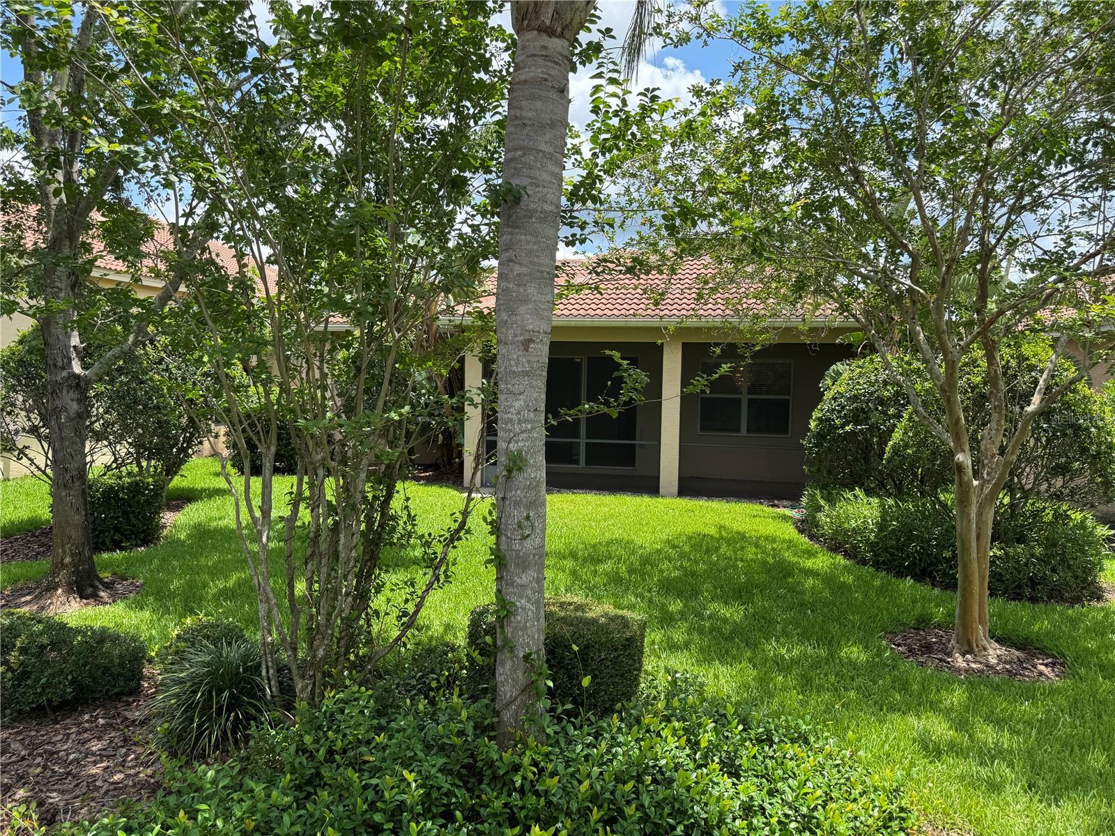 LUSHLY LANDSCAPED YARD