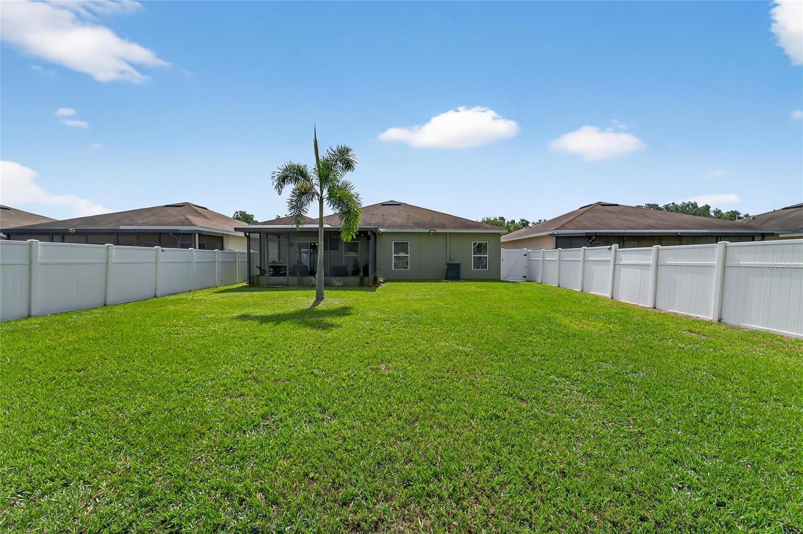 Rear Yard