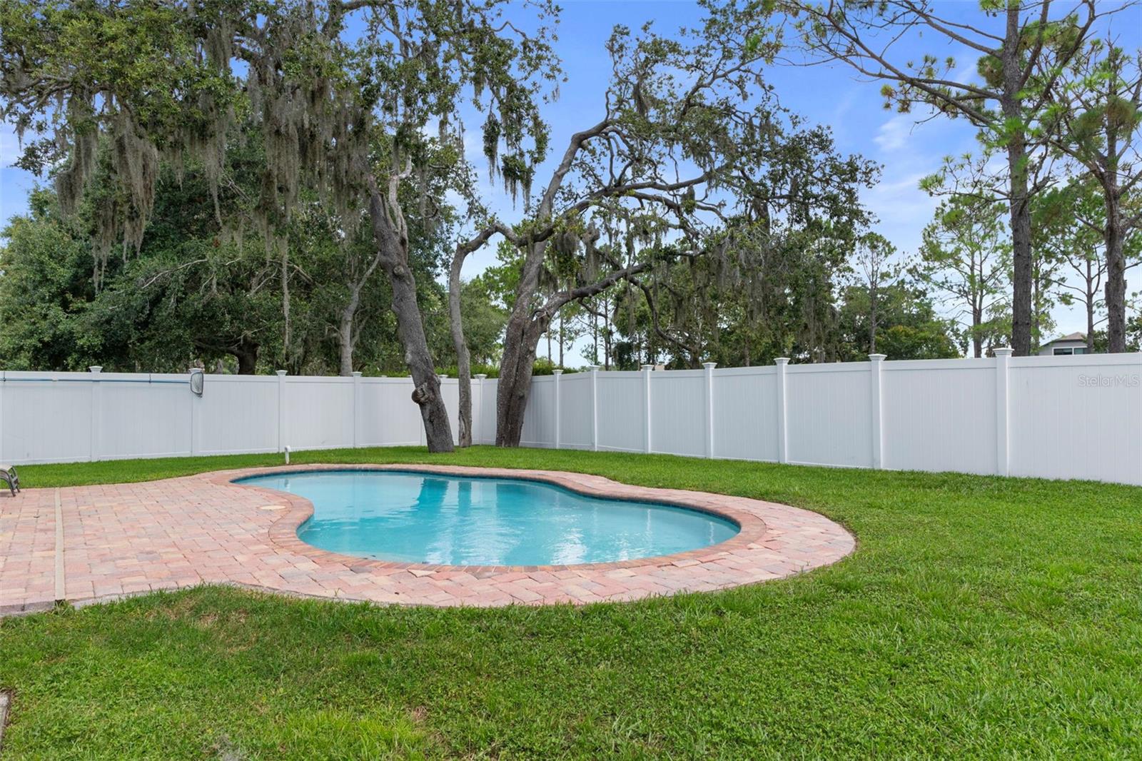 Beautiful view of the Salt Water Pool and Paver Patio
