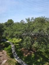 View from Balcony