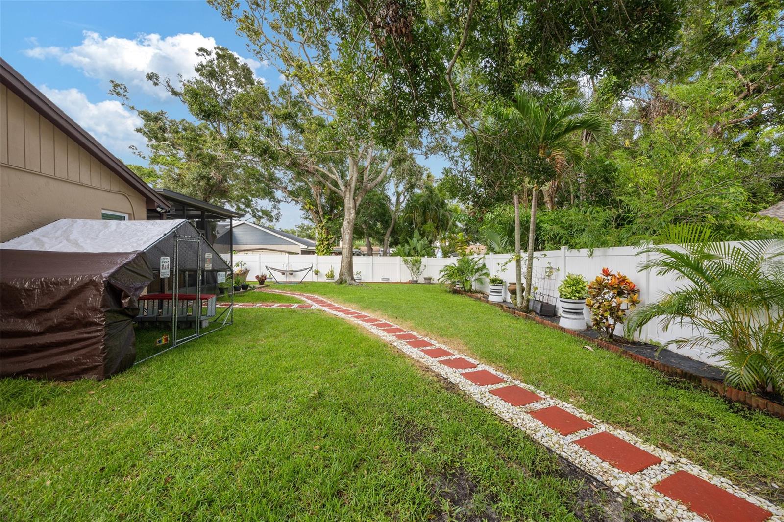Back Yard
