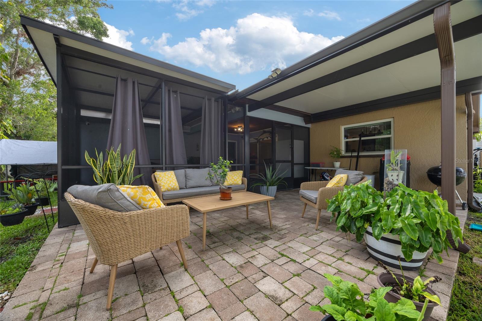 Back yard