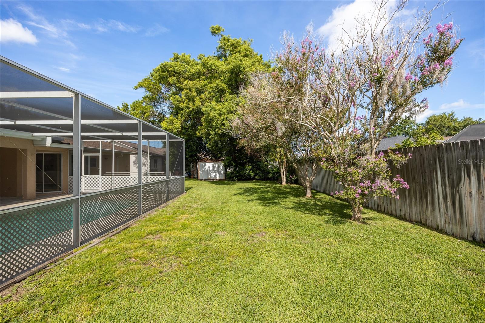 Back of House / Yard