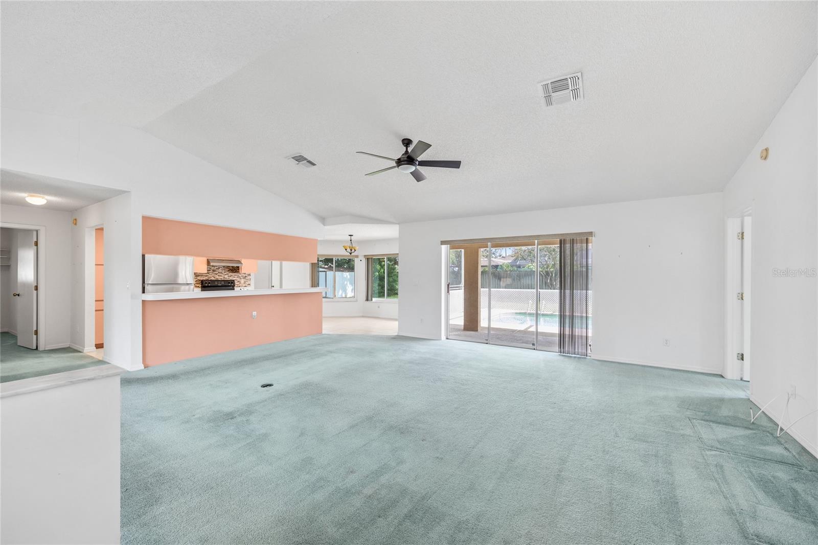 Living Room / Kitchen