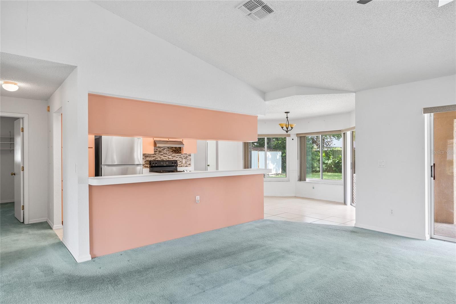 Living Room / Kitchen