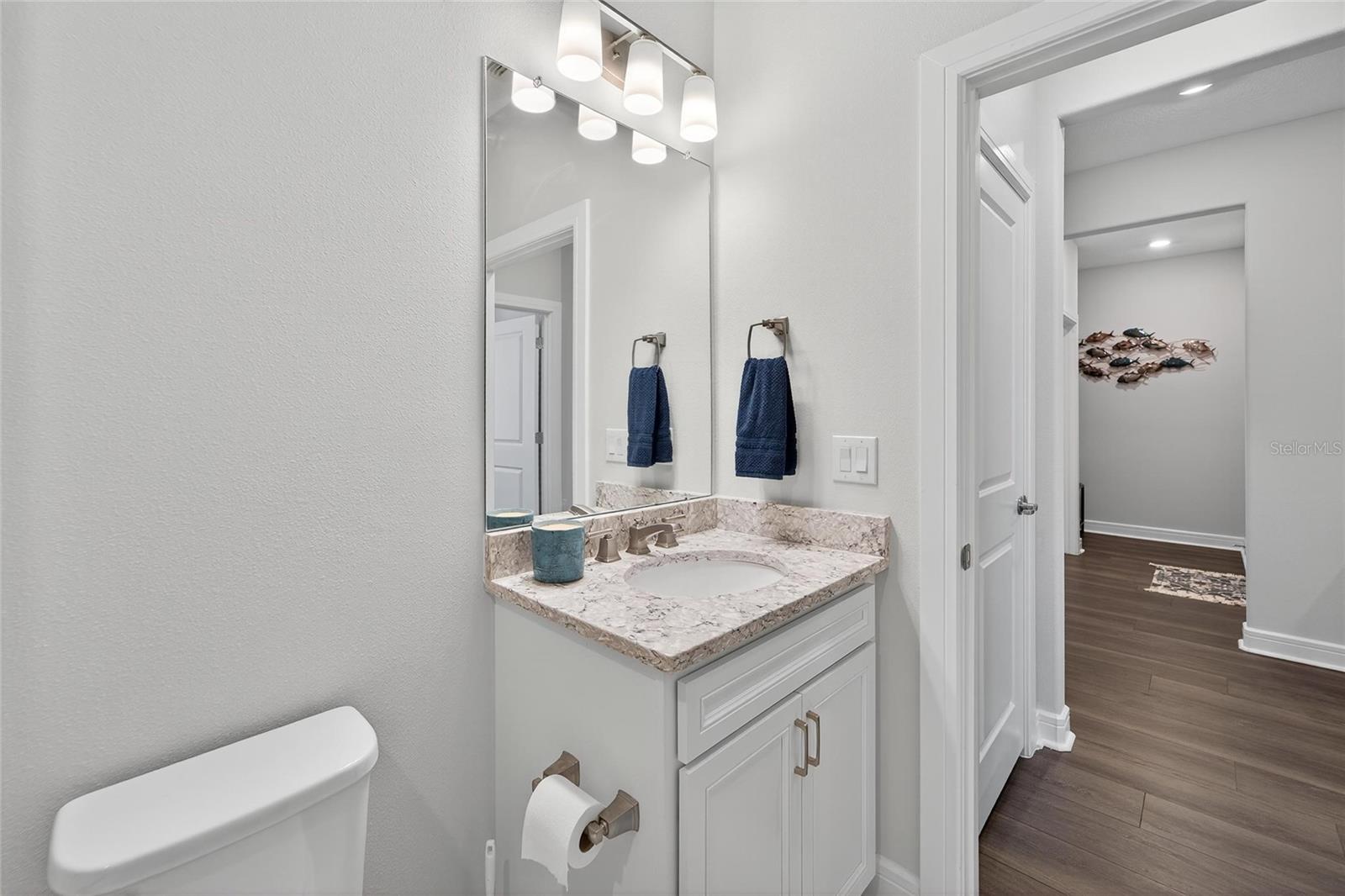 Guest bathroom