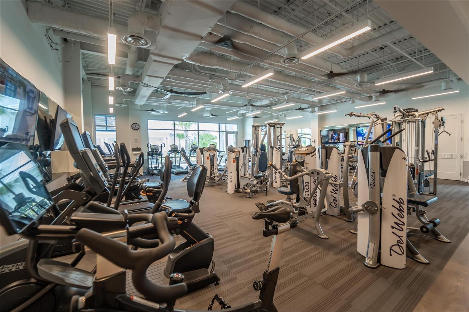 Exercise area