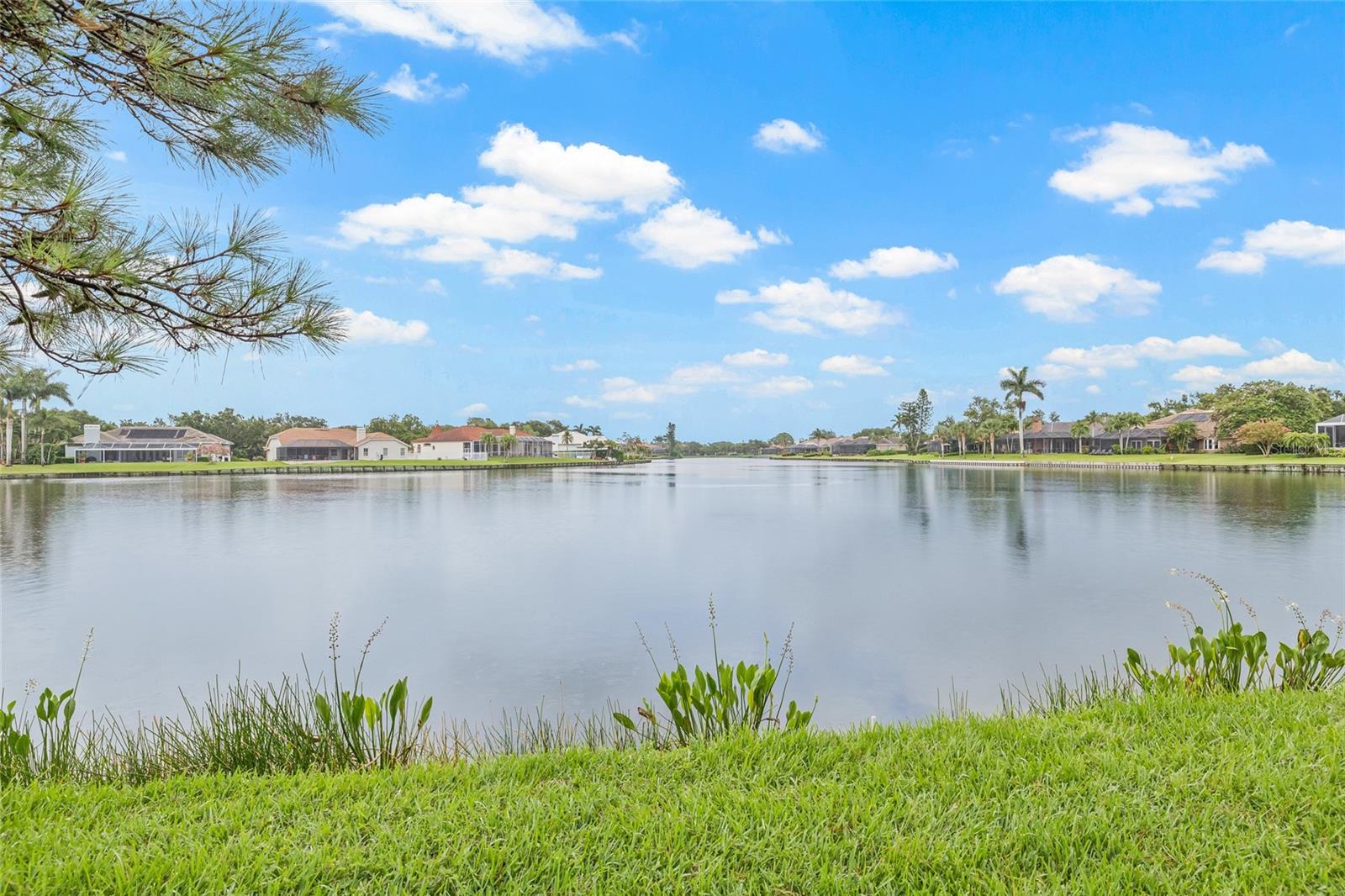 Enjoy watching Pelicans, Pink Spoonbills and ducks from your porch.